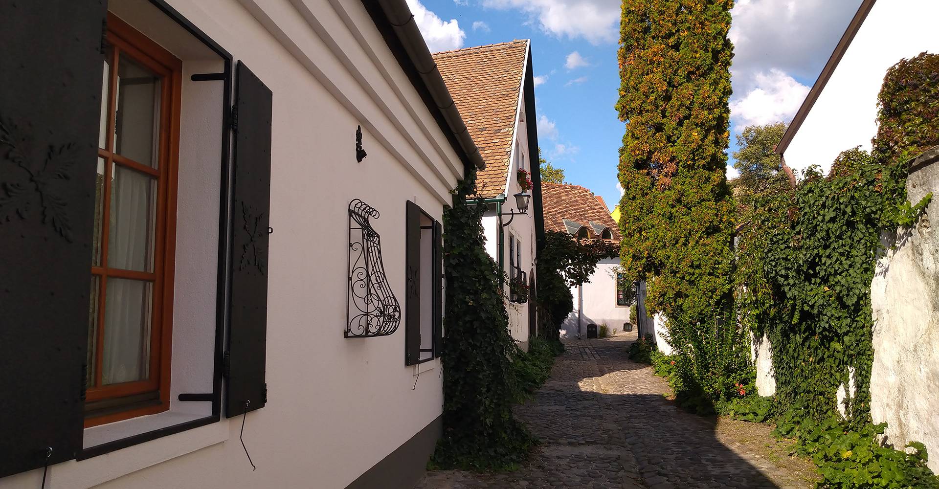 Szentendre Őri-Art Gallery G5