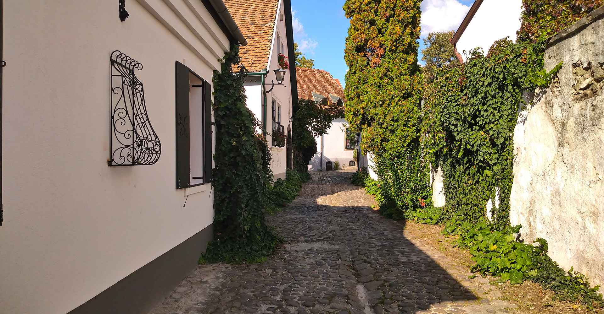 Szentendre_Őri-Art_Gallery_O12-Round_Street