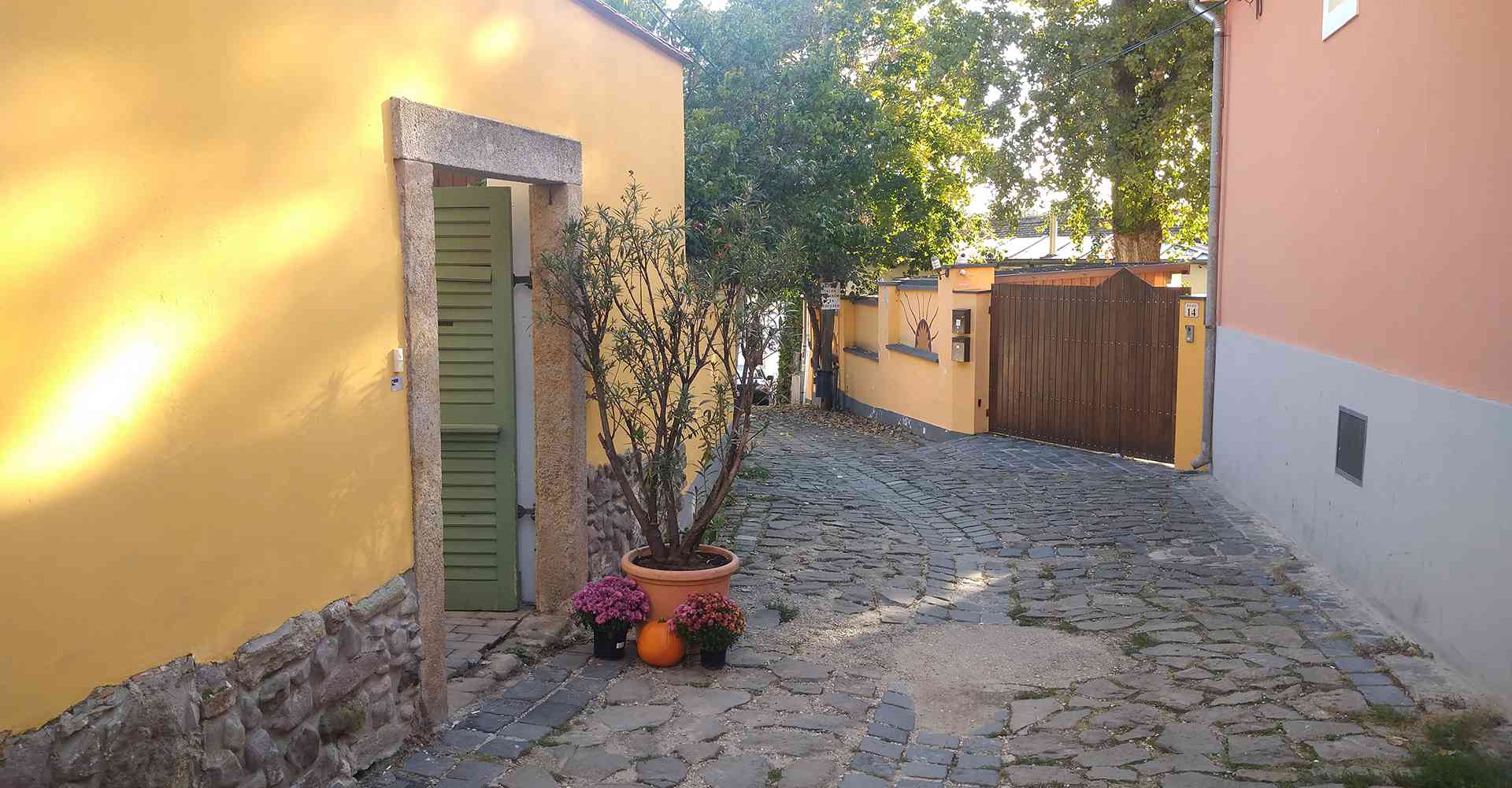 Szentendre_Őri-Art_Gallery_S12-Janko_street