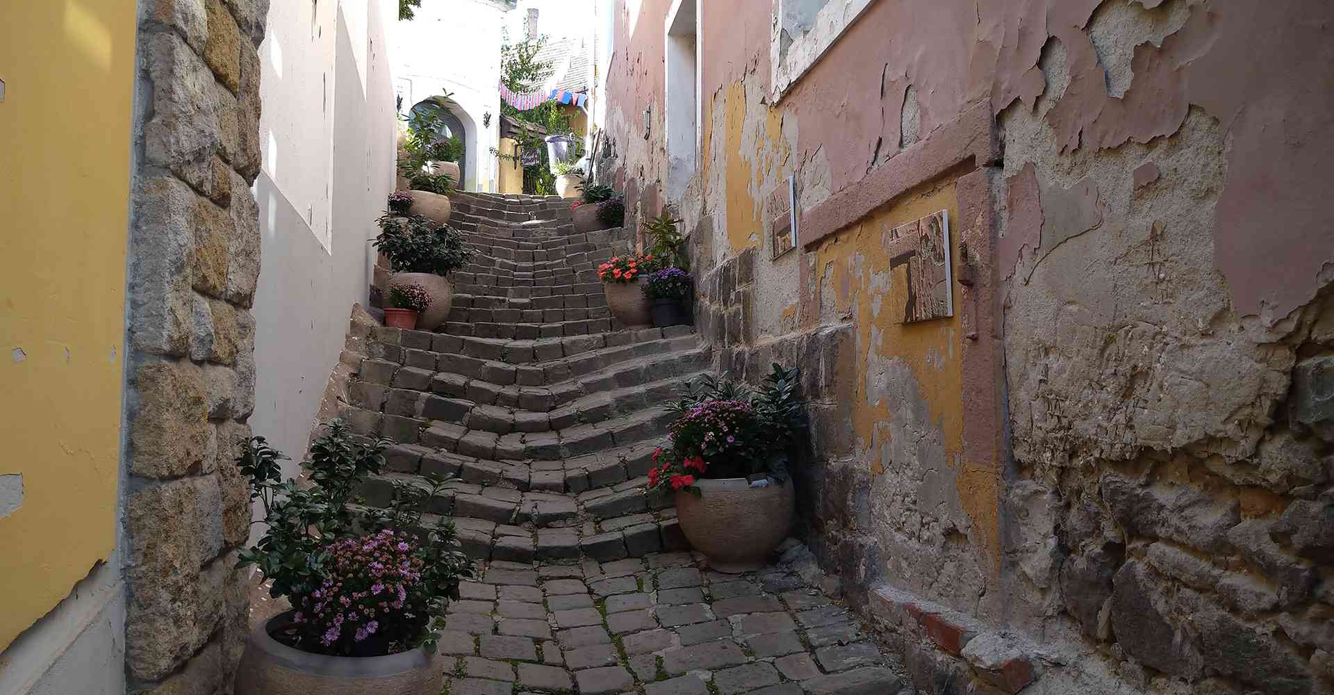 Szentendre_Őri-Art_Gallery_S5-Alley_of_Flowers