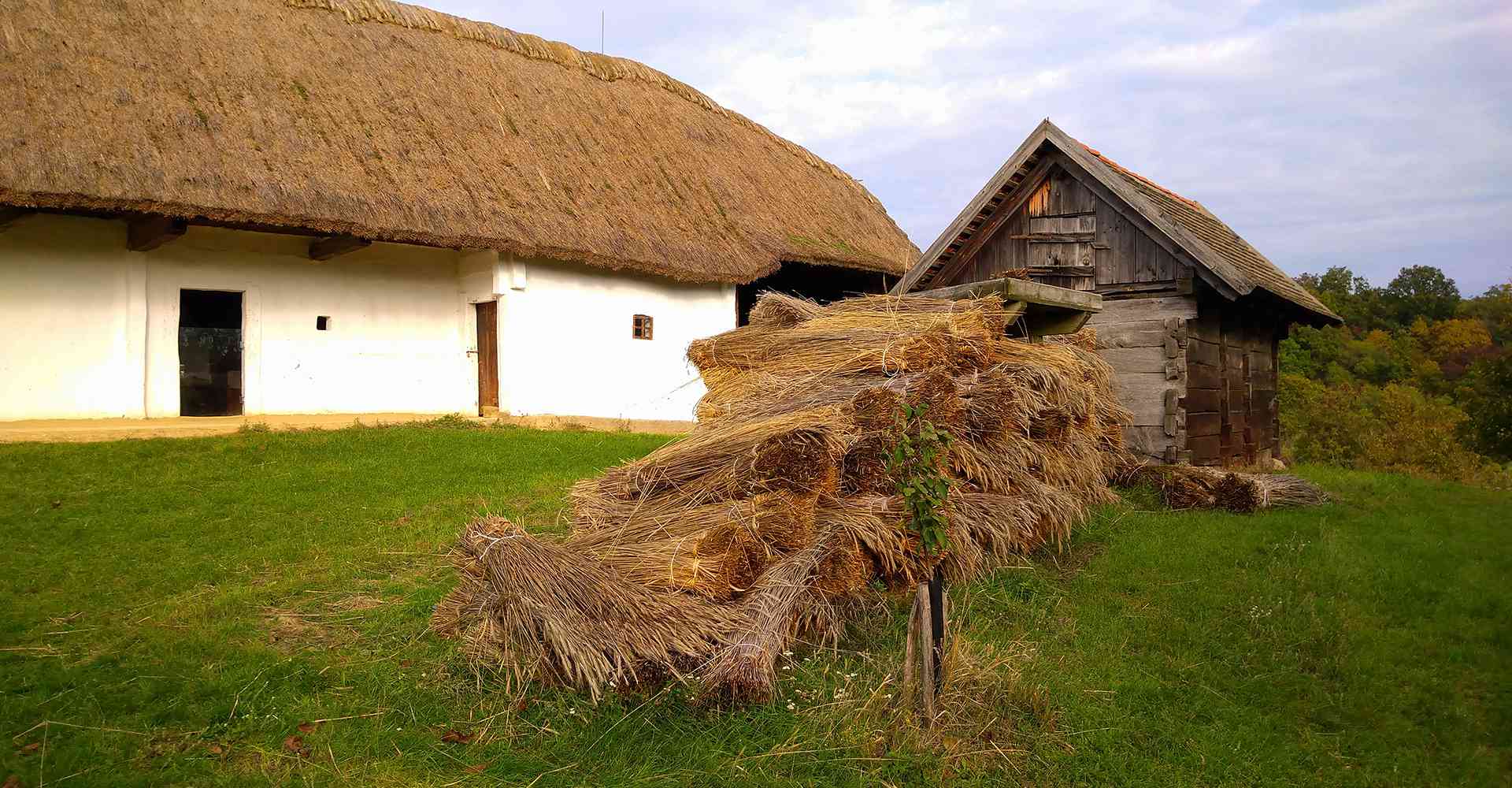 Szentendre_Őri-Art_Gallery_V20-Skanzen20