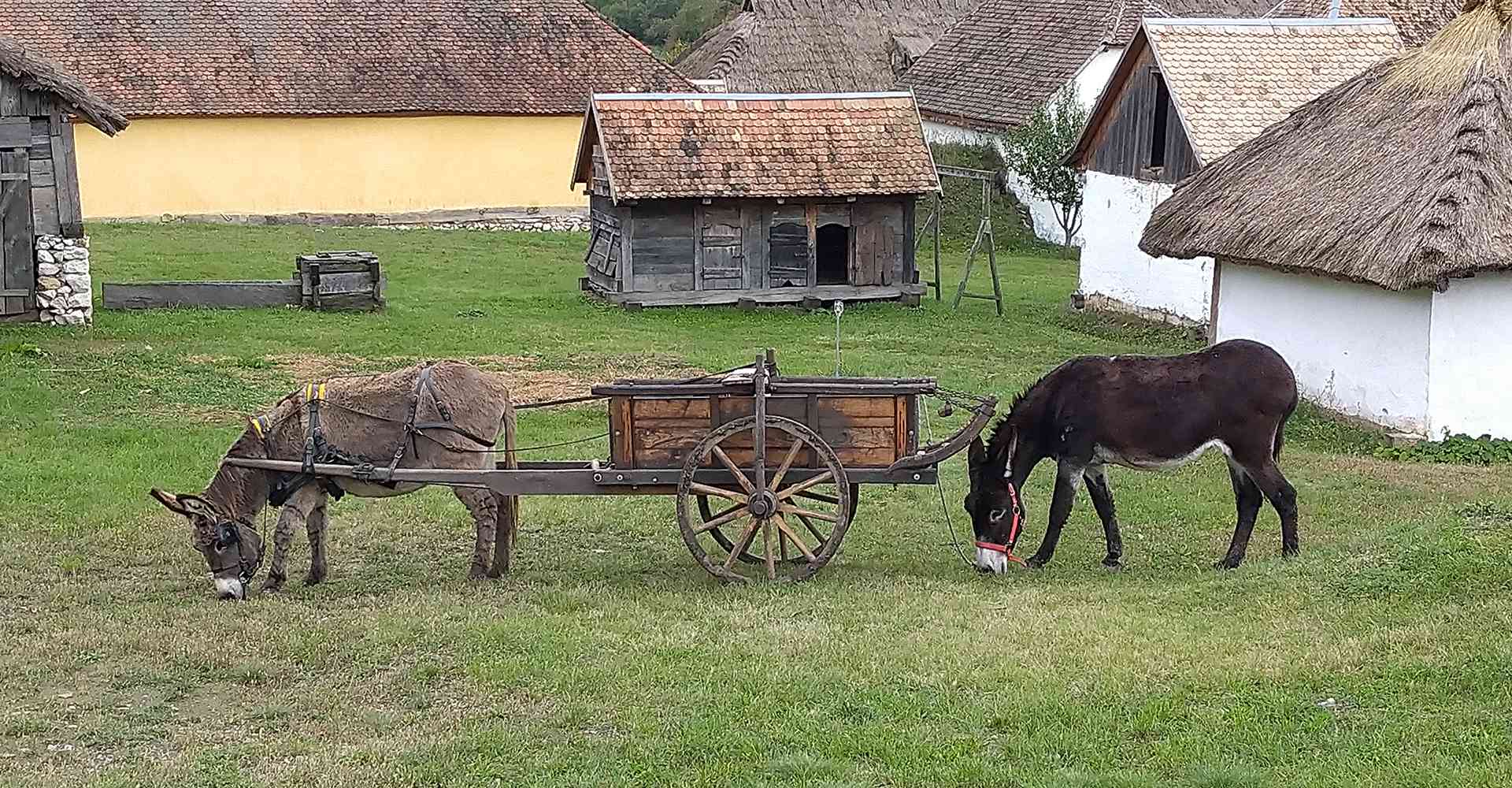 Szentendre_Őri-Art_Gallery_V9-Skanzen9